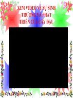 BÀI 25 HÔ HẤP TẾ BÀO