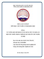 TƯ TƯỞNG hồ CHÍ MINH về xây DỰNG nền văn hóa xã hội CHỦ NGHĨA TRONG THỜI kỳ QUÁ độ lên CHỦ NGHĨA xã hội 