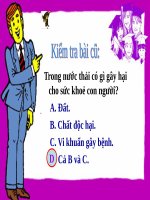 Tự nhiên xã hội: Thực vật