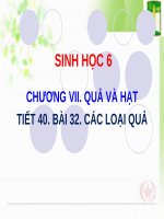 BÀI 32 CÁC LOẠI QUẢ