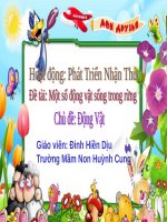 Một số động vật sống trong rừng