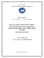 PHÂN TÍCH CHIẾN lược MARKETING THƯƠNG HIỆU điện THOẠI THÔNG MINH VSMART GIAI đoạn 2019 2021 