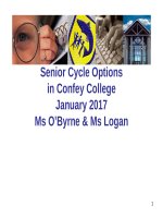 Senior Cycle Options in Confey College