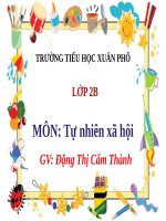 Tự nhiên và xã hội Cuộc sống xung quanh