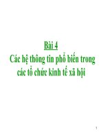 Các hệ thông tin phổ biến tổ chức kinh tế xã hội