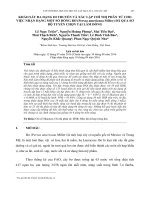 KHẢO sát đa DẠNG DI TRUYỀN và xác lập CHỈ THỊ PHÂN tử CHO VIỆC NHẬN DẠNG một số DÒNG bơ (persea americana miller) đã QUA sơ bộ TUYỂN CHỌN tại lâm ĐỒNG 