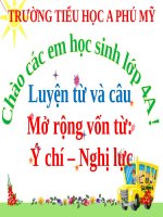 Mở rộng vốn từ: Ý chí – Nghị lực