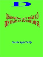 Cai_gi_quy_nhat