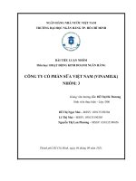 (TIỂU LUẬN) TIỂU LUẬN môn học HOẠT ĐỘNG KINH DOANH NGÂN HÀNG CÔNG TY cổ PHẦN sữa VIỆT NAM (VINAMILK) 