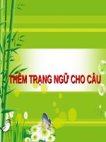 THÊM TRẠNG NGỮ CHO CÂU