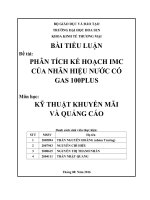 PHÂN TÍCH KẾ HOẠCH IMC CỦA NHÃN HIỆU NƯỚC CÓ GAS 100PLUS - BÀI TIỂU LUẬN KỸ THUẬT KHUYẾN MÃI VÀ QUẢNG CÁO