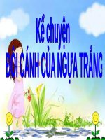 ĐƠI CÁNH CỦA NGỰA TRẮNG