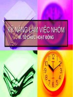 KỸ NĂNG LÀM VIỆC NHÓM III. TỔ CHỨC HOẠT ĐỘNGIII. TỔ CHỨC HOẠT ĐỘNG