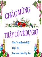 Tự nhiên xã hội Một số hoạt động o trường