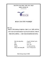 (Khóa luận tốt nghiệp) Phân tích hoạt động cho vay tiêu dùng có tài sản đảm bảo tại Ngân hàng TMCP Phương Đông  Chi nhánh Bình Dương