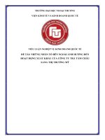 TIỂU LUẬN NGHIỆP VỤ KINH DOANH QUỐC TẾ  ĐỀ TÀI: NHỮNG NHÂN TỐ BÊN NGOÀI ẢNH HƯỞNG ĐẾN HOẠT ĐỘNG XUẤT KHẨU CỦA CÔNG TY TRÀ TÂM CHÂU SANG THỊ TRƯỜNG MỸ