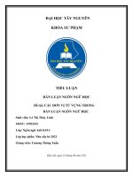 (TIỂU LUẬN) TIỂU LUẬN dẫn LUẬN NGÔN NGỮ học đề tài các đơn vị từ VỰNG TRONG dẫn LUẬN NGÔN NGỮ học 