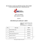 (TIỂU LUẬN) TIỂU LUẬN NHÓM 4 môn KINH tế LƯỢNG đề tài mô HÌNH DẠNG hồi QUY 2 BIẾN 