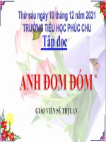 Anh Đom Đóm Võ Quảng