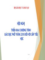 TRIỂN KHAI CHƯƠNG TRÌNH GIÁO DỤC PHỔ THÔNG 2018 ĐỐI VỚI CẤP TIỂU HỌC