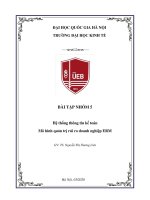 Hệ thống thông tin kế toán mô hình quản trị rủi ro doanh nghiệp ERM 