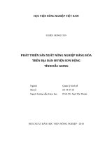 Luận văn thạc sĩ VNUA phát triển sản xuất nông nghiệp hàng hóa trên địa bàn huyện sơn động tỉnh bắc giang 
