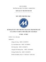 KẾ HOẠCH xúc TIẾN THƯƠNG mại SANG THỊ TRƯỜNG mỹ của CÔNG TY THNN L’MIT ORGANIC GIAI đoạn 07 2021 – 07 2022 