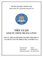 TIỂU LUẬN KINH tế CHÍNH TRỊ mác LÊNIN đề tài  một số mô HÌNH CNH TRÊN THẾ GIỚI và vận DỤNG vào CNH, hđh ở VIỆT NAM HIỆN NAY 