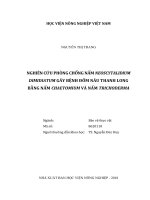 Luận văn thạc sĩ VNUA nghiên cứu phòng chống nấm neoscytalidium dimidiatum gây bệnh đốm nâu thanh long bằng nấm chaetomium và nấm trichoderma 