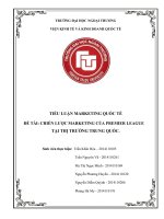 (TIỂU LUẬN) TIỂU LUẬN MARKETING QUỐC tế đề tài CHIẾN lược MARKETING của PREMIER LEAGUE tại THỊ TRƯỜNG TRUNG QUỐC  