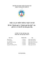 (TIỂU LUẬN) TIỂU LUẬN môn TIẾNG VIỆT cơ sở đề tài thành ngữ và thành ngữ tân thời của giới trẻ và vấn đề văn hóa giao tiếp 