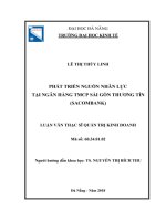 Luận văn Thạc sĩ Quản trị kinh doanh: Phát triển nguồn nhân lực tại Ngân hàng TMCP Sài Gòn Thương Tín (Sacombank)