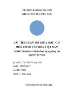 (TIỂU LUẬN) TIỂU LUẬN THI GIỮA học kì II môn cơ sở văn hóa VIỆT NAM đề tài tìm hiểu về hình thức tín ngưỡng của người việt nam  
