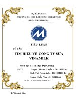 (TIỂU LUẬN) TIỂU LUẬN đề tài tìm HIỂU về CÔNG TY sữa VINAMILK 