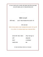 TIỂU LUẬN môn học QUẢN TRỊ MARKETING QUỐC tế tên CHỦ đề PHÂN TÍCH CHIẾN lược MARKETING QUỐC tế tại mỹ của CÔNG TY cổ PHẦN dệt MAY THÀNH CÔNG 