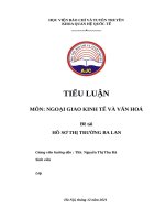TIỂU LUẬN môn NGOẠI GIAO KINH tế và văn HOÁ đề tài hồ sơ THỊ TRƯỜNG BA LAN 
