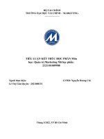 TIỂU LUẬN môn học quản trị marketing doanh nghiệp làm thế nào để nhận dạng đối thủ cạnh tranh hãy trình bày và phân tích phương pháp phân tích cạnh tranh của một doanh nghiệp 