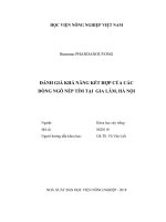 Luận văn thạc sĩ VNUA đánh giá khả năng kết hợp của một số dòng ngô trong nước và nhập nội 