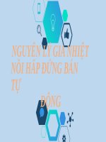(TIỂU LUẬN) TIỂU LUẬN NGUYÊN lý GIA NHIỆT nồi hấp ĐỨNG bán tự ĐỘNG 