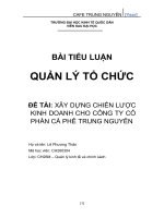 (TIỂU LUẬN) TIỂU LUẬN QUẢN lý tổ CHỨC xây DỰNG CHIẾN lược KINH DOANH CHO CÔNG TY cổ PHẦN cà PHÊ TRUNG NGUYÊN 