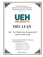TIỂU LUẬN môn học thông lệ trong thương mại quốcitế chủ đề UCP DC  ISBP 