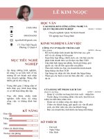 LE KIM NGC MC TIEU NGH NGHIP HC VN 