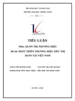 (TIỂU LUẬN) TIỂU LUẬN môn QUẢN TRỊ THƯƠNG HIỆU đề tài PHÁT TRIỂN THƯƠNG HIỆU SIÊU THỊ AEON tại VIỆT NAM 