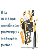 (TIỂU LUẬN) tiểu luận phân tích tác động của chính sách tiền tệ mà chính phủ việt nam sử dụng để hỗ trợ các doanh nghiệp ứng phó với covid 19 