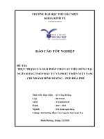 Báo cáo tốt nghiệp Thực trạng và giải pháp cho vay tiêu dùng tại Ngân hàng Đầu tư và Phát triển Việt Nam – Chi nhánh Bình Dương – PGD Hòa Phú