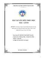 (TIỂU LUẬN) vận dụng lý luận về mâu thuẫn để phân tích mâu thuẫn giữa xây dựng nền kinh tế độc lập, tự chủ với hội nhập kinh tế quốc tế của việt nam  