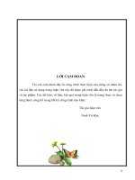 (Luận văn thạc sĩ) Xây dựng bộ câu hỏi kiểm tra  đánh giá Kỹ thuật Phay trình độ trung cấp nghề cắt gọt kim loại ở trường cao đẳng nghề Việt Nam Singapore