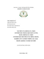 (TIỂU LUẬN) VAI TRÒ của AMINACYL TARN SYNTHETASE TRONG DỊCH mã và ỨNG DỤNG AMINACYL TARNSYNTHETASE NHƯ ĐÍCH tác ĐỘNG TRONG NGHIÊN cứu và PHÁT TRIỂN 