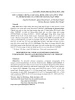 Mô tả triệu chứng lâm sàng, hình ảnh cắt lớp vi tính và mô bệnh học của viêm mũi xoang mạn tính