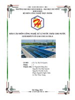 (TIỂU LUẬN) xử lí nước THẢI CHO nước GIẢI KHÁT có GAS COCA COLA 